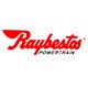 Click here to visit the Raybestor Powertrain website