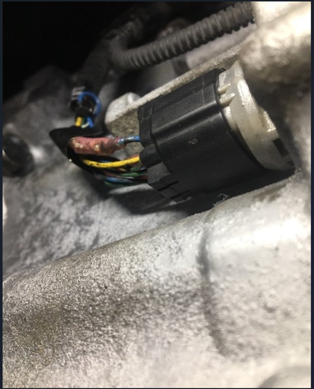 the fix