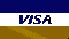 We accept Visa